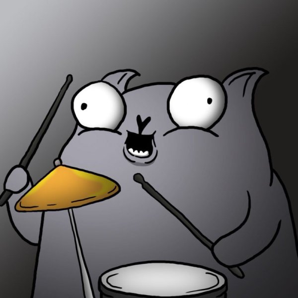 Стендап кот