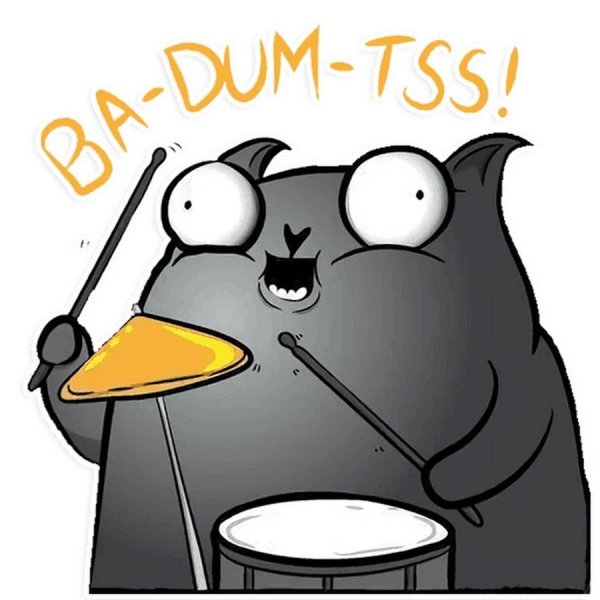 Бадум ТСС кот