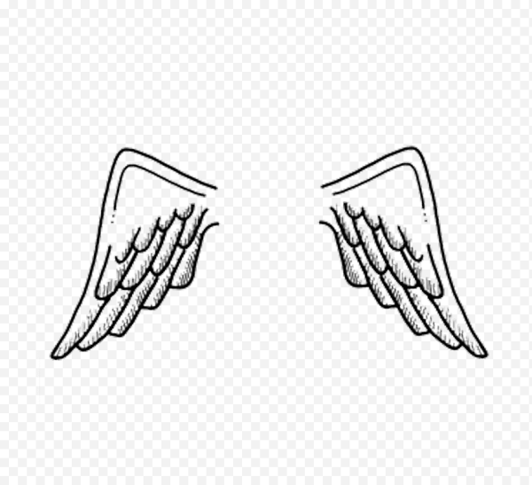 Наклейка крыло