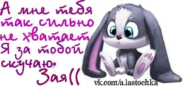 Скучаю по зайке