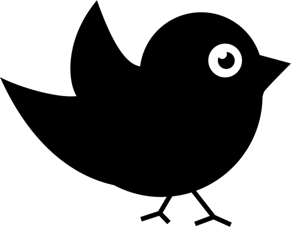 Силуэты птиц для детей