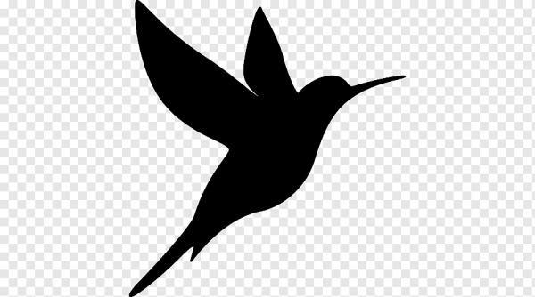 Силуэт птицы Колибри