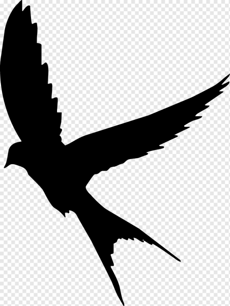 Ласточка силуэт