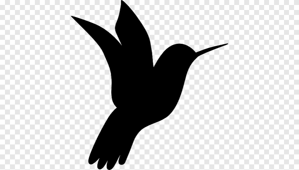 Силуэт птицы на прозрачном фоне