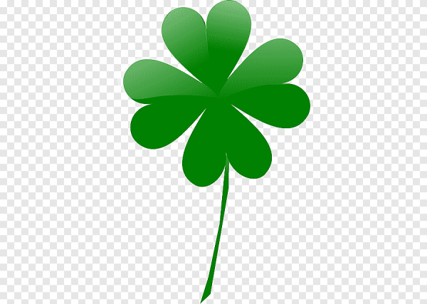 Сердце и листья клевера