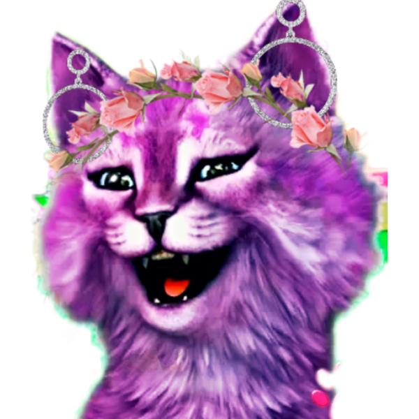 Аватар кошки Ланы