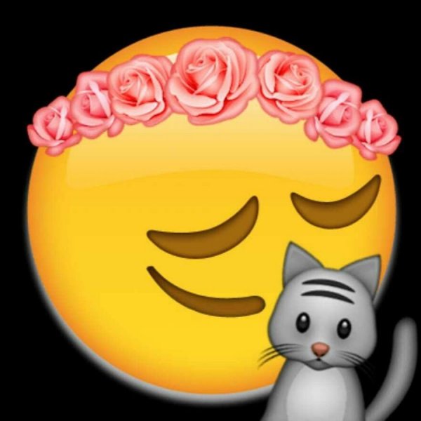 ЭМОДЖИ кот