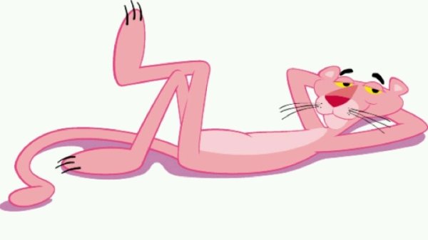 Розовая пантера лежит