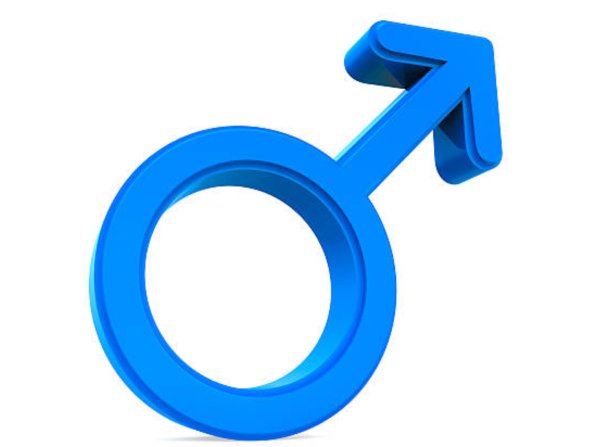 Мужской пол