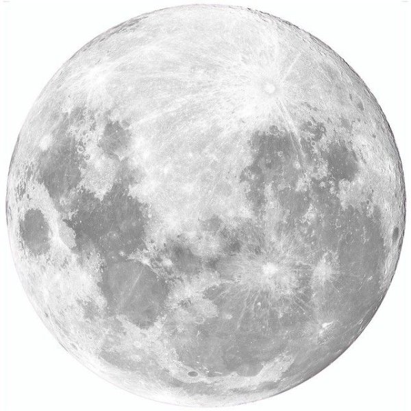 Белая Луна стикер