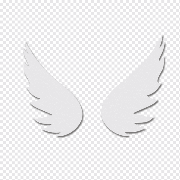 Маленькие крылышки ангела