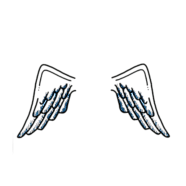 Наклейка крыло