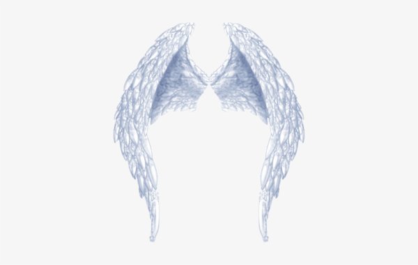 Крылья с нимбом