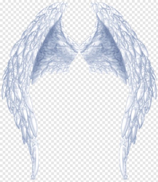Нимб и Крылья на прозрачном фоне