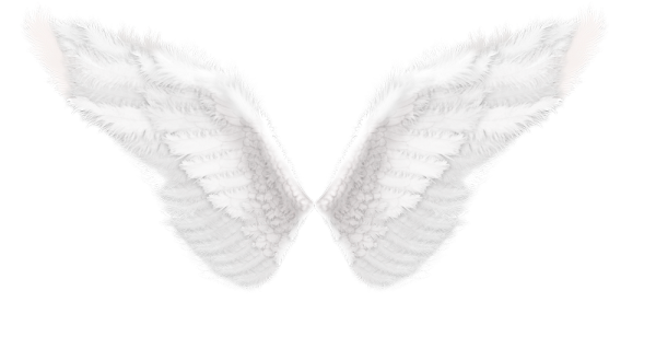 Крылышки ангелочков без фона
