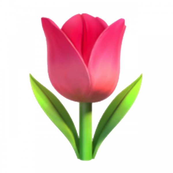 ЭМОДЖИ красный тюльпан