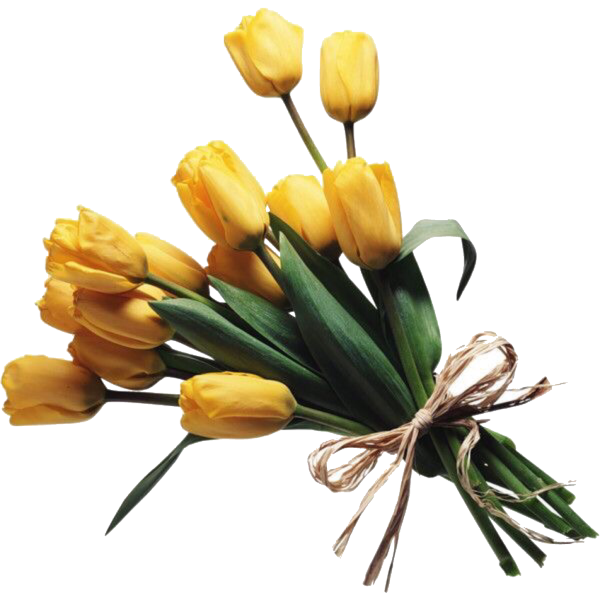 Букет тюльпанов