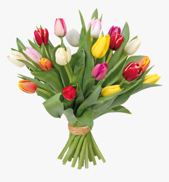 Букет тюльпанов без фона