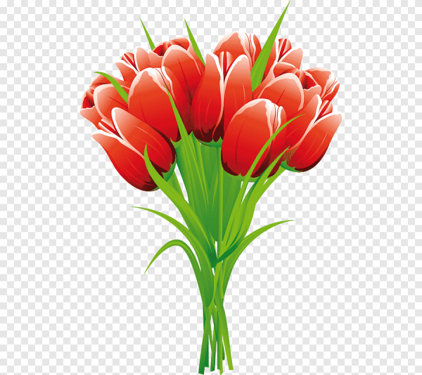 Векторные тюльпаны