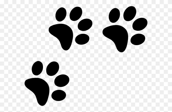 Следы кошачьих лап без фона