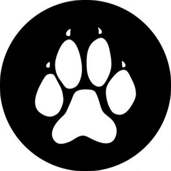 Лапки на черном фоне