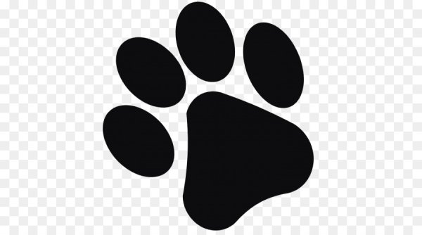 Значок лапки собаки