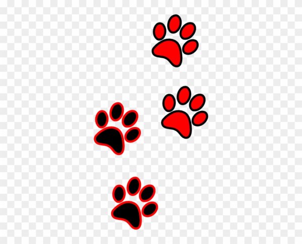 Следы кошачьих лапок арт