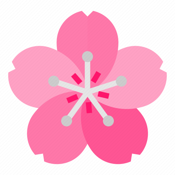 Сакура иконка