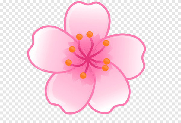 Мультяшные цветы без фона