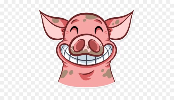 Свинья стикер