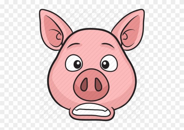 Лицо поросенка