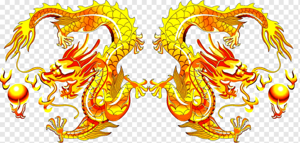 Китайский дракон длинный