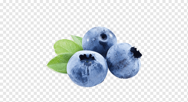 Черника ПСД