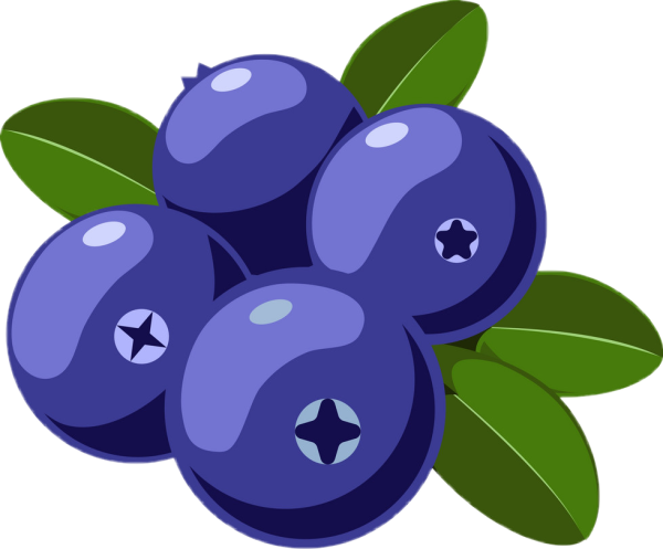 Черника вектор