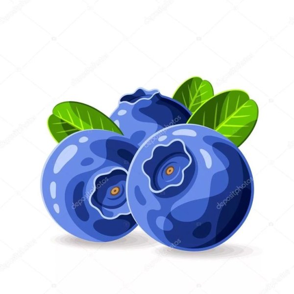 Голубика вектор