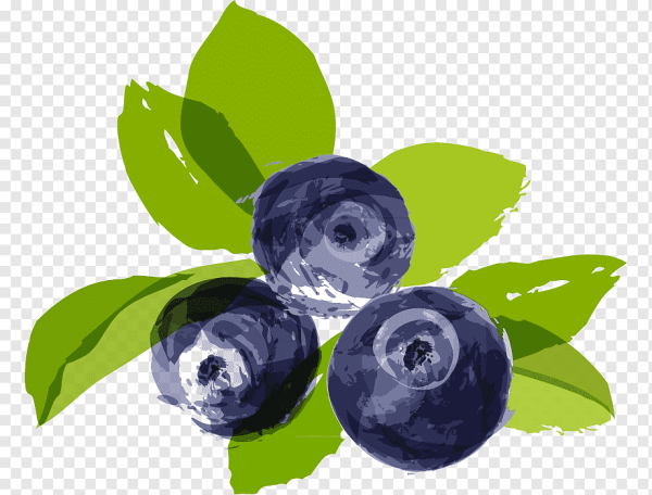 Черника логотип