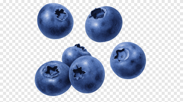 Рассыпанная черника