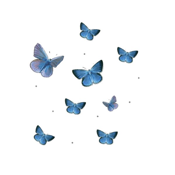 Много бабочек на прозрачном фоне
