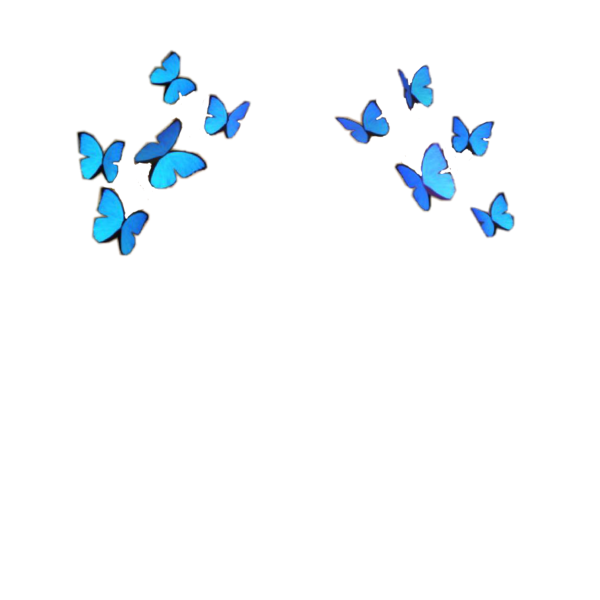 Бабочки разлетаются