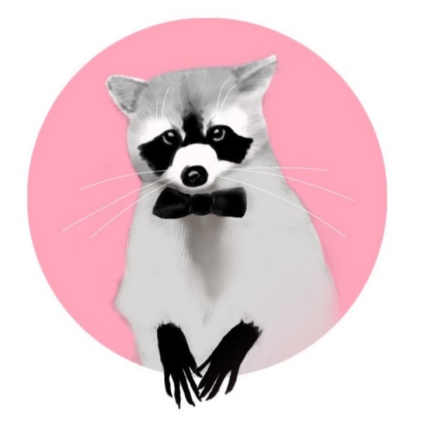 Милые еноты