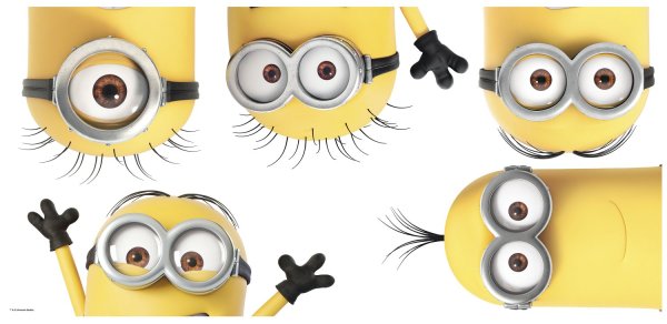 Миньон летит