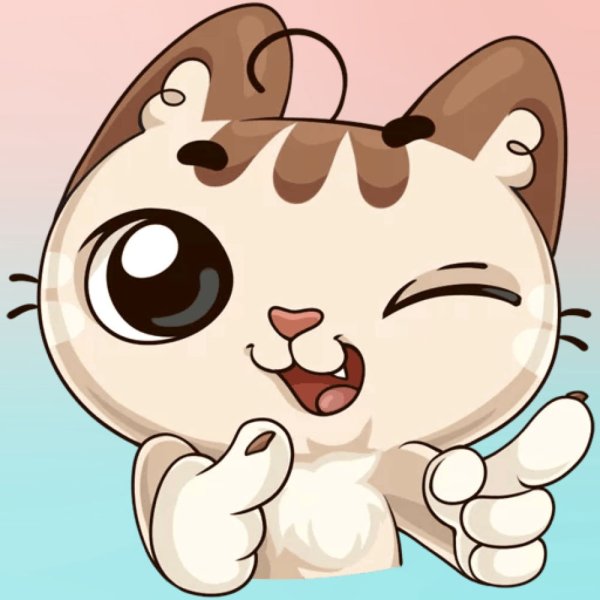 Стикеры ВК котик