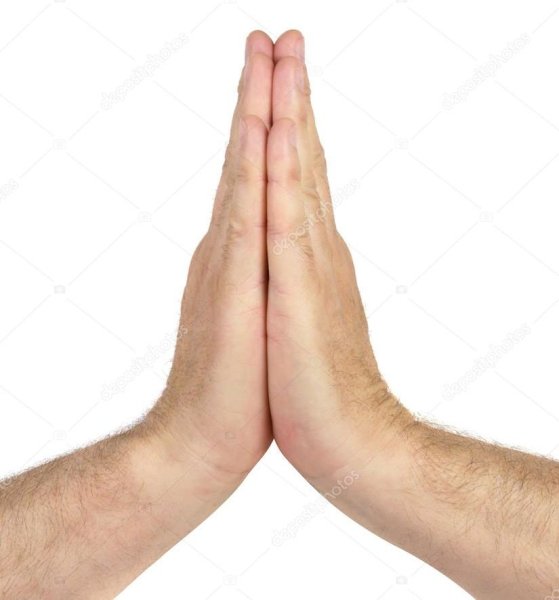 Сложенные ладони вместе