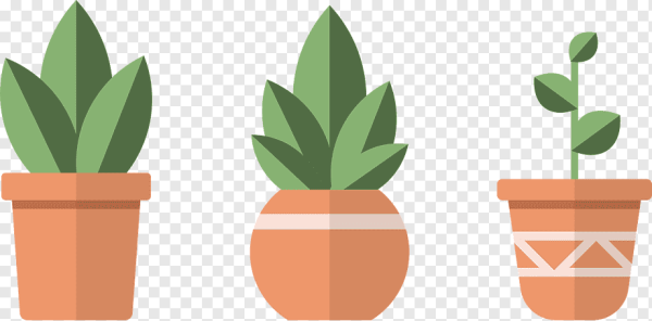Векторные растения в горшках