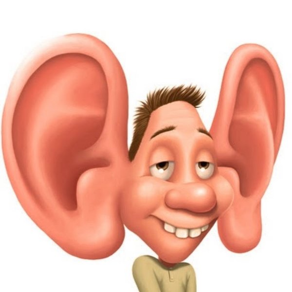 Веселое ухо