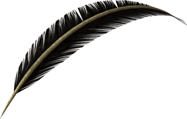 Перо для вставки