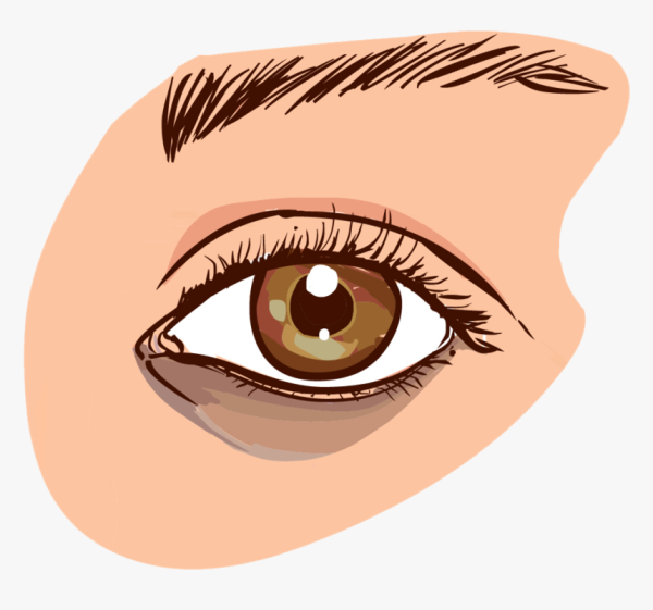 Глаз вектор