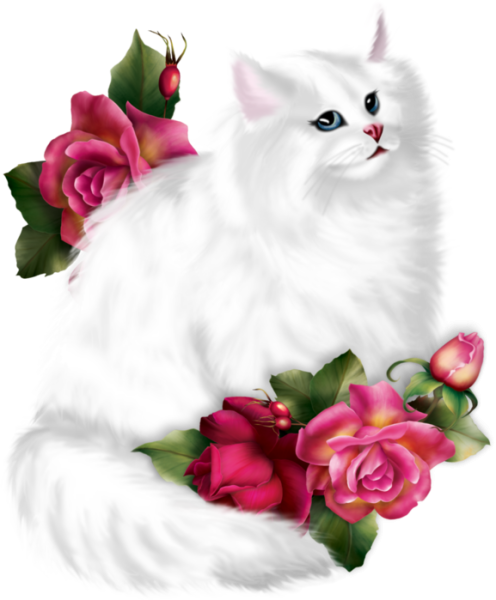Белая кошка с цветами