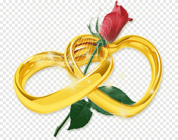 Кольца свадьба на прозрачном фоне