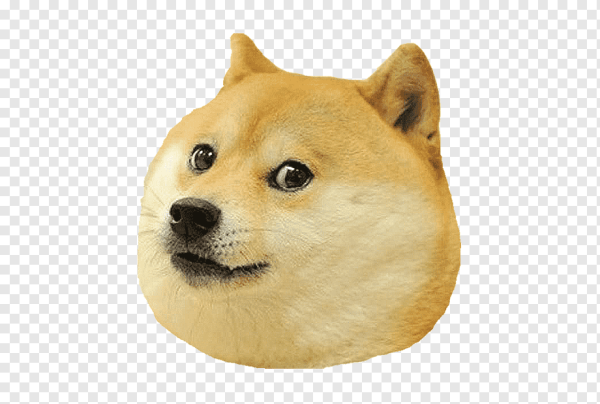 Шиба ину Doge